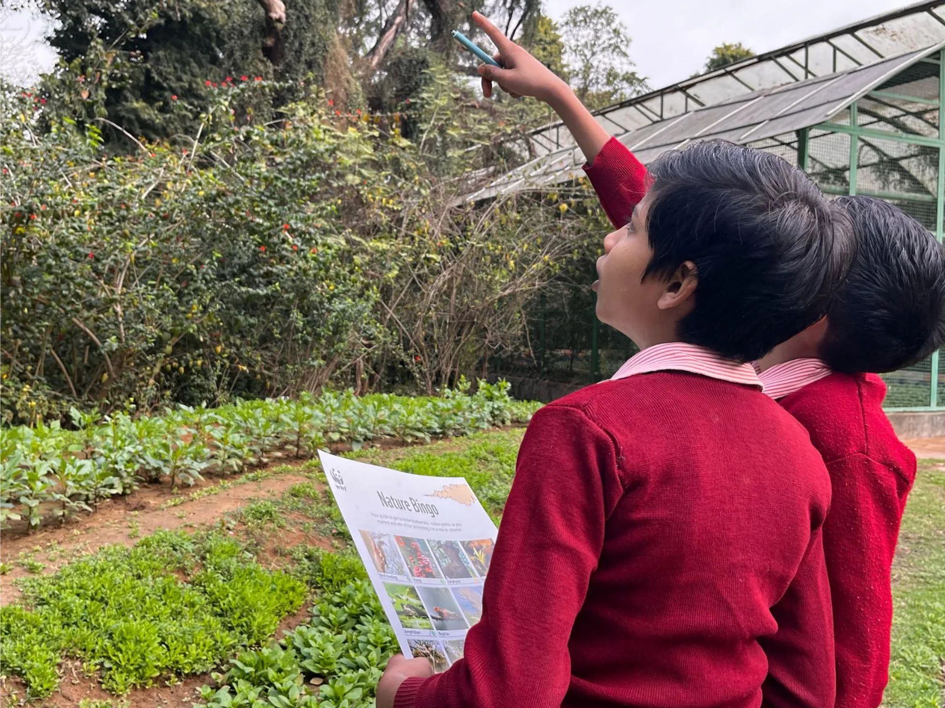 Students in nature learning